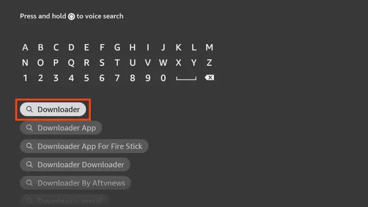 Install Downloader on firestick 2
