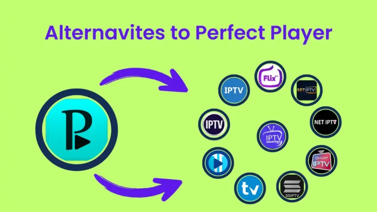 Top 10+ Alternatives to Perfect Player